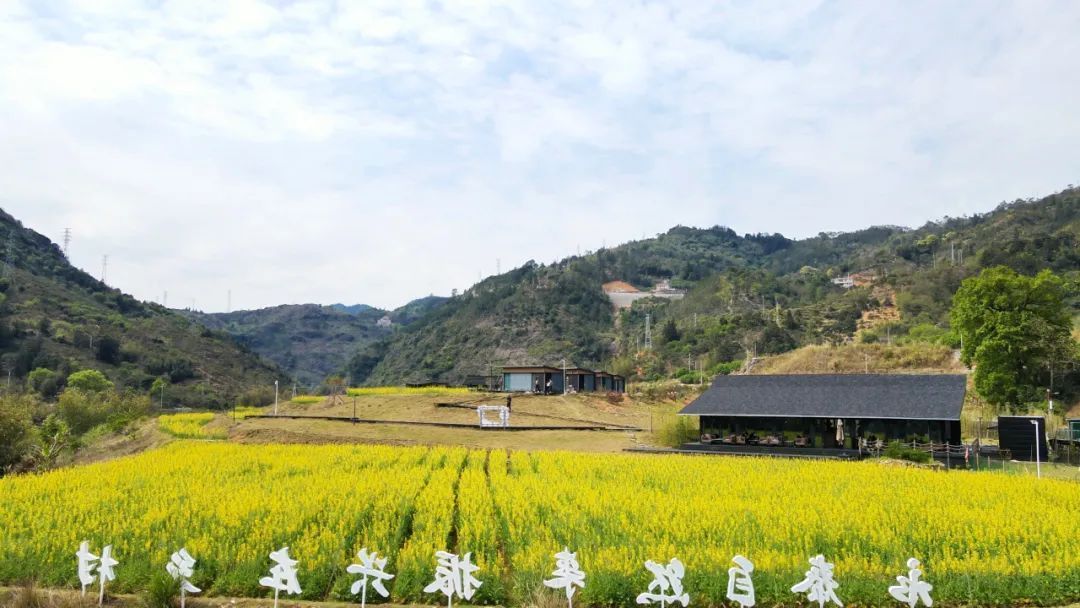  最美人间四月天，永泰的春日“顶流”已登场！