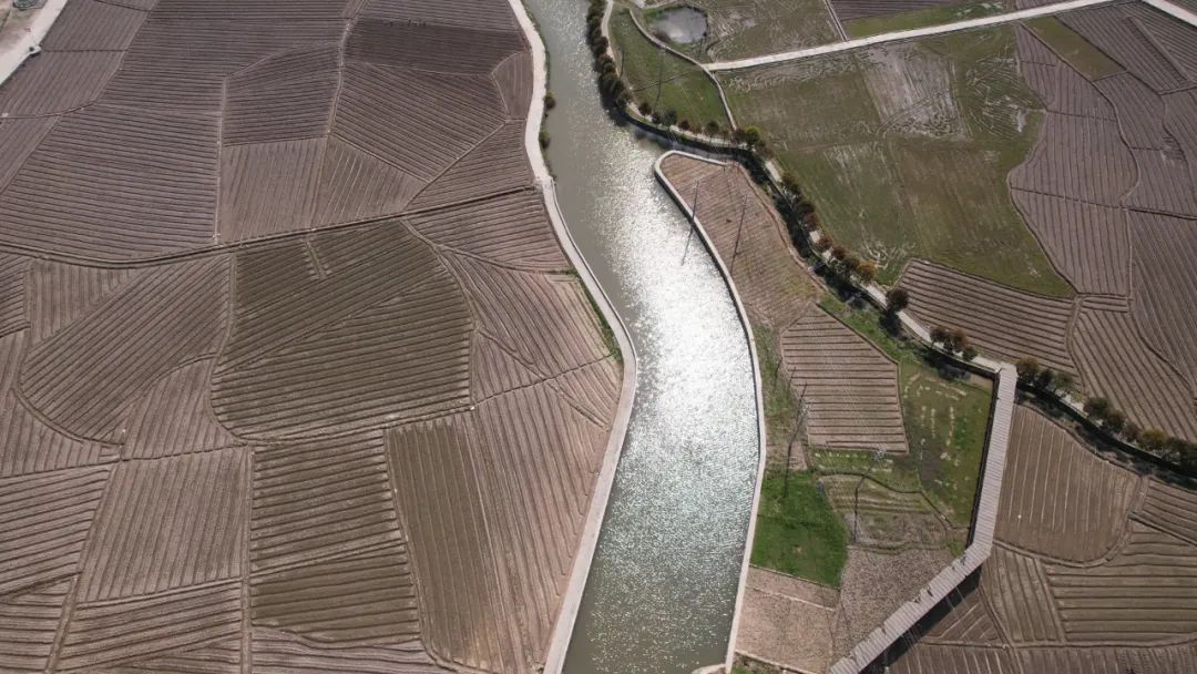  “沉睡地”被唤醒，永泰千亩良田重新“出发”！